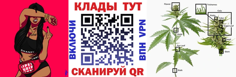 Наркотические вещества Шали A PVP  кракен онион  ГАШИШ  MDMA  Конопля  МЕФ 