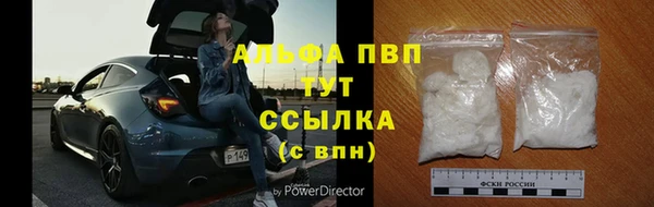 стаф Абаза