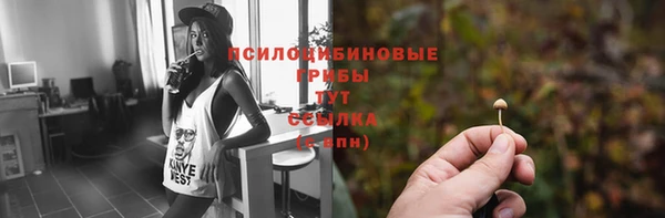 а пвп мука Алексеевка