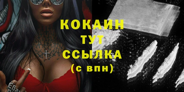 стаф Абаза